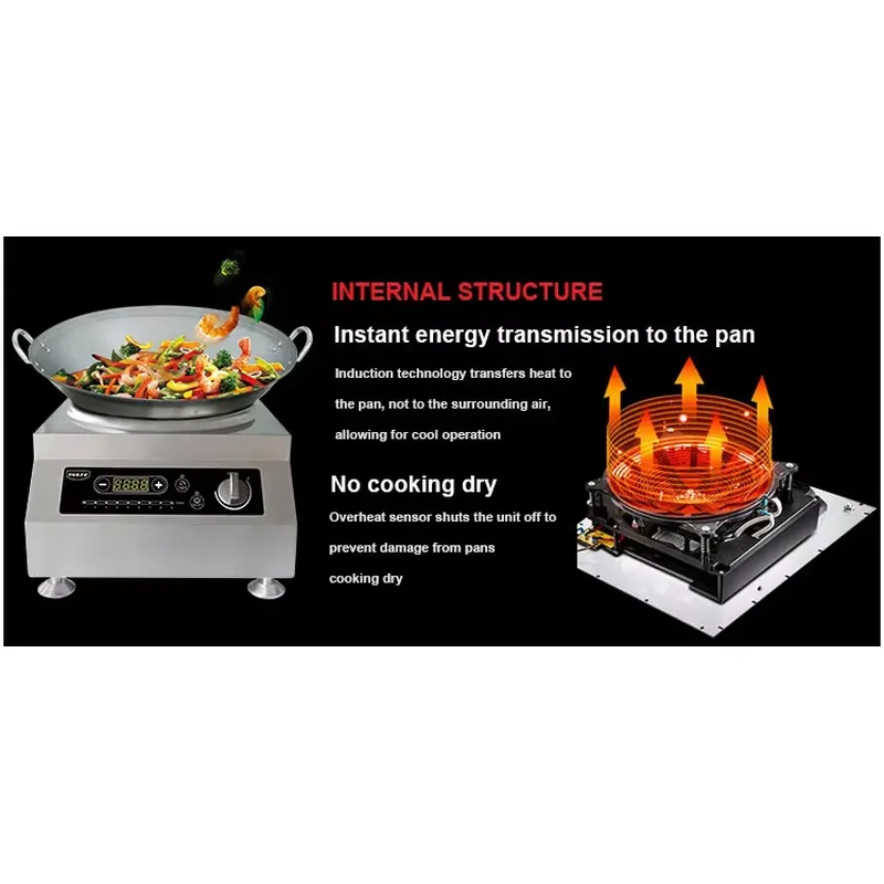 Portable Electric Induction Co - Home Cooking Heater review and price